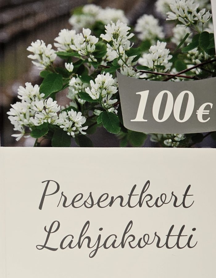 Presentkort 100,00€